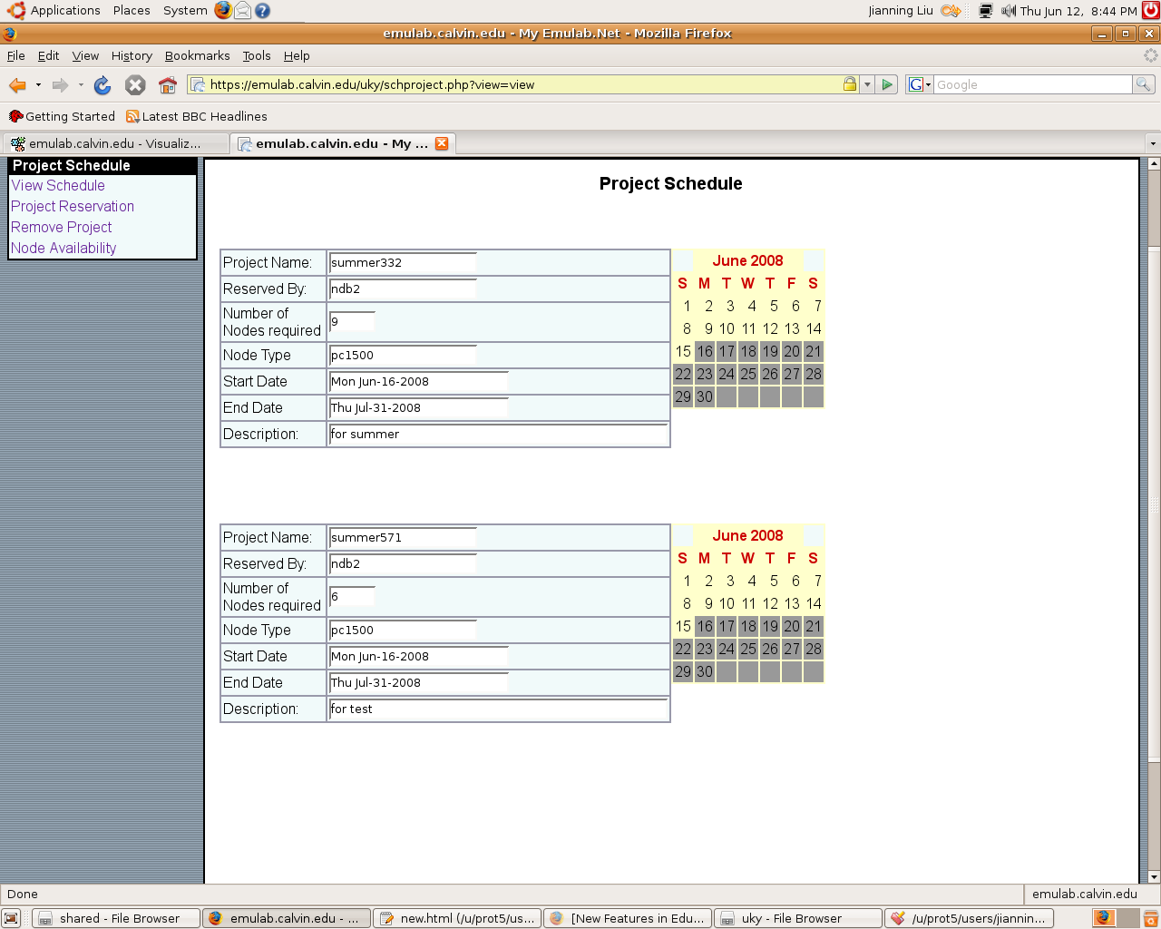 project schedule view