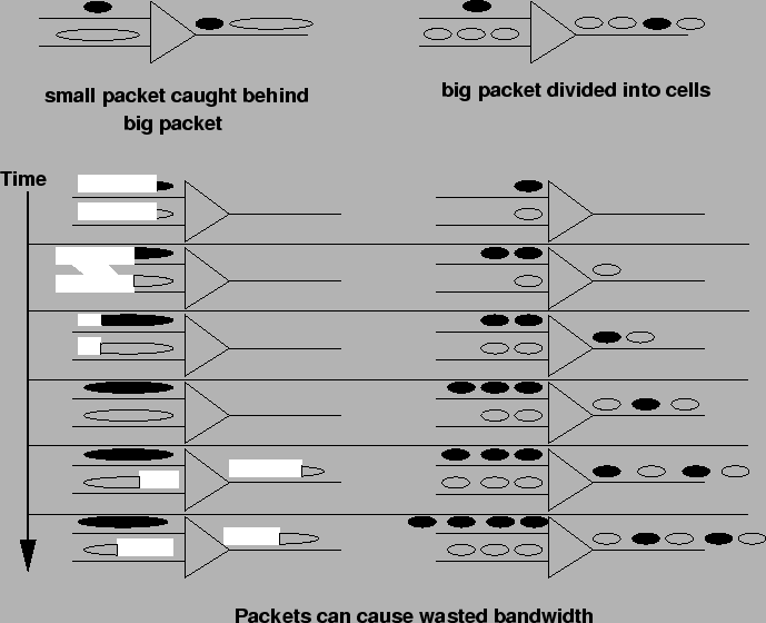 \includegraphics[width=6in]{fig-whycells}